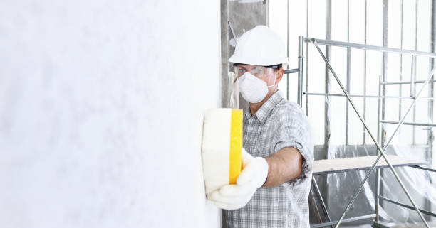 Why You Should Choose Our Mold Remediation Services in Cross Plains, WI